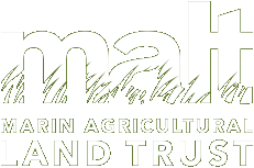 MALT Logo